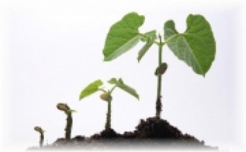 Hiểu đúng nhân quả nghiệp báo